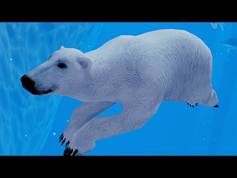 Видео: Симулятор Белого Медведя #1 Кид встретил подругу в Polar Bear Simulator на пурумчата