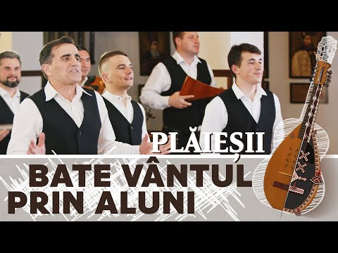 Video: Care vânturi bat pe tot parcursul anului?