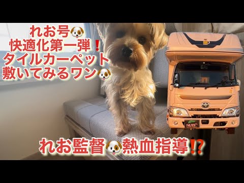 【キャンピングカー】れお号🐶快適化第一弾としてタイルカーペットを敷いてみる