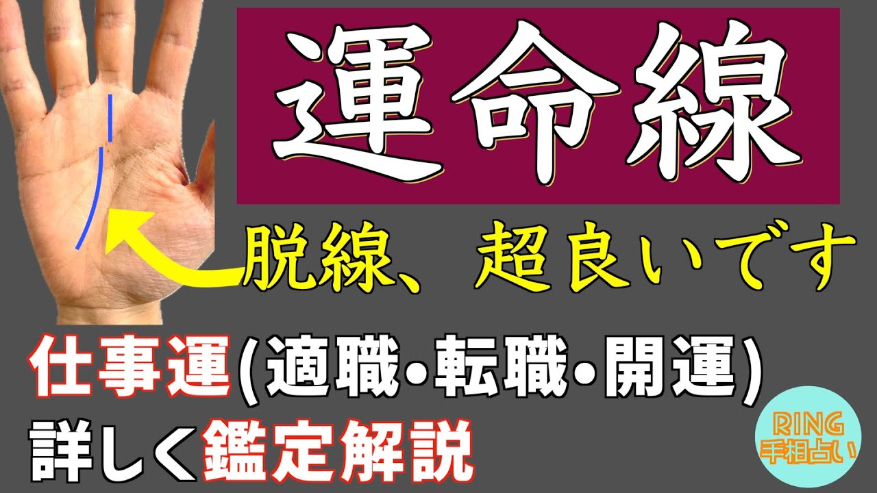 【運命線】ズレがむしろ最強⁉︎仕事運•運命線をガチ鑑定ガチ解説！！鑑定歴23年占い師の手相勉強会第67回。#手相 #運命線 運命線