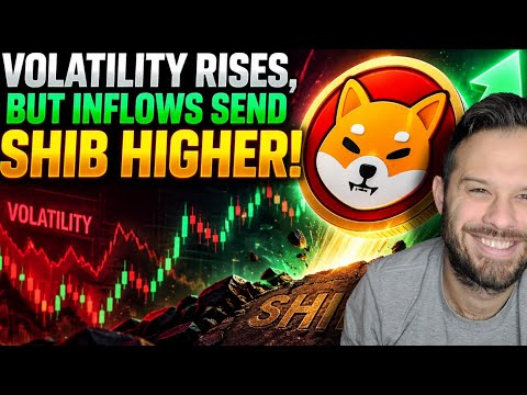 Video preview for Shiba Inu Coin | Volatility Sends SHIB Higher As Exchange Inflows Continue Rising