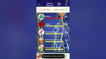Insight Quanta Tutorial for Genius Insight Users