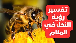 تفسير رؤية النحل في المنام لابن سيرين