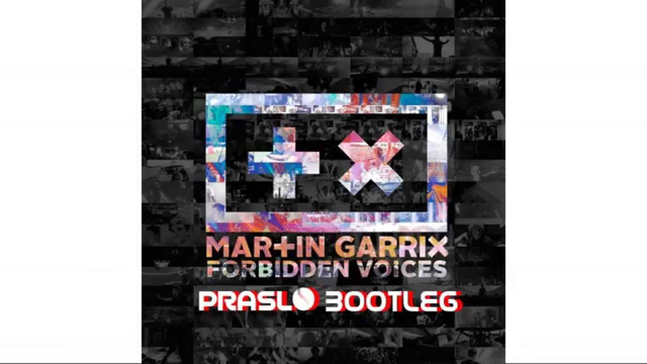Martin Garrix - Forbidden Voices (Praislo Bootleg)
