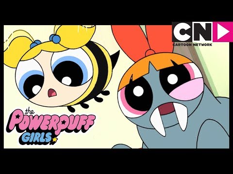 powerpuff-girls-turn-into-animals!-🐝-|-powerpuff-girls-|-cartoon-network