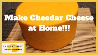 Make Cheddar Cheese at Home!