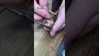 Tips for using iron nails 4  #homediyer #diy #tools4life #tips #alltools #screws #HomeDIYer