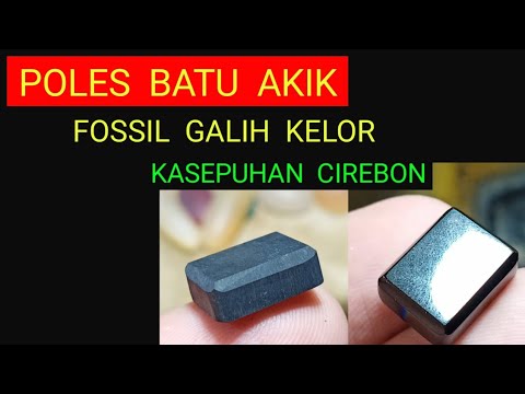 Cincin FOSIL GALIH KELOR (Urat EMAS) Langka.. 