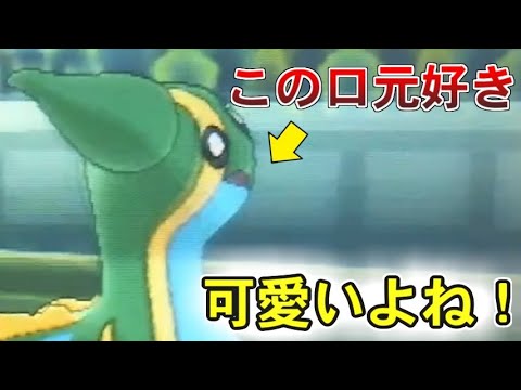 口元が可愛いトリトドンを活躍させてみた ポケモンusum ウルトラサン ウルトラムーン Youtube