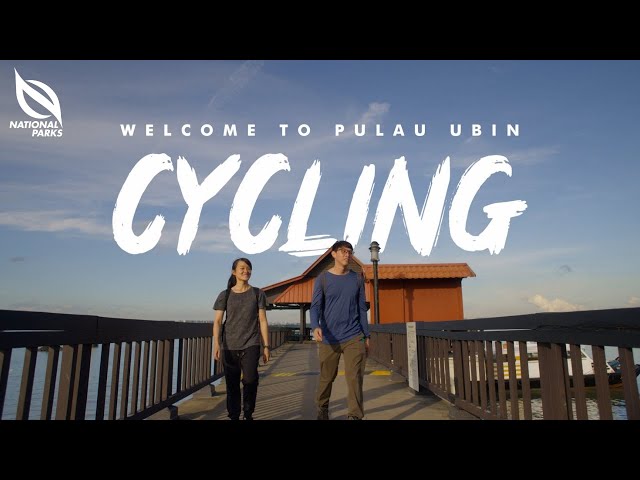 Cycling In Pulau Ubin