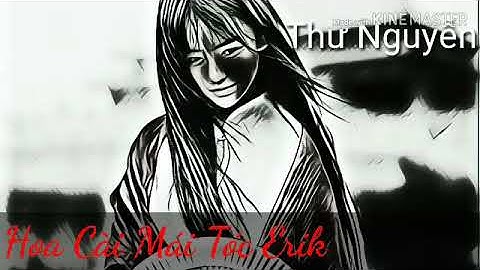 Hoa Cài Mái Tóc bản phối mới cực hay