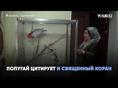 Үйдегі порно онлайн қырынған письки