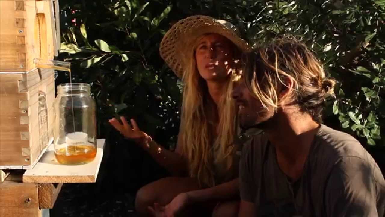 Dave Rastovich & Lauren Hill Swarm to Harvest with Flow™ Hive - YouTube