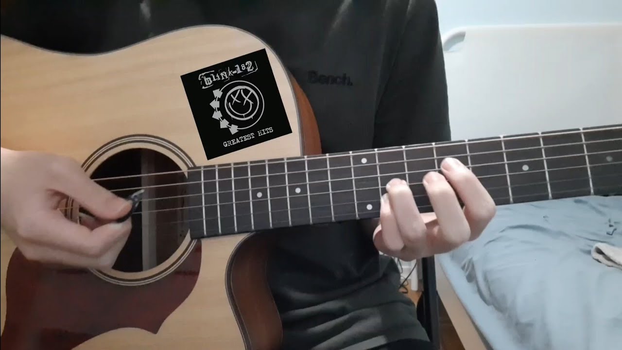 blink182 What's My Age Again? (Acoustic Instrumental Guitar Cover