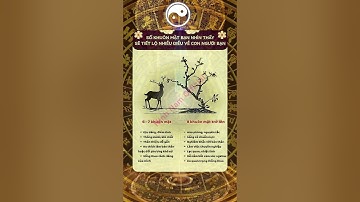 Phong thủy nhà ở năm 2025: Ninh Nam Official hướng dẫn cách bài trí để hút tài lộc, vượng khí