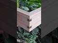 The 2 Types of Dovetail Through Joints #shorts #woodworking #diy