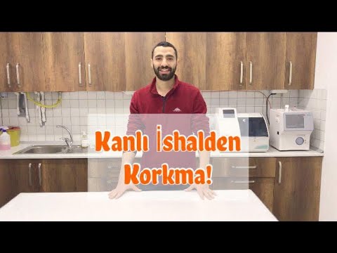 Video: Afrika Çiklitleri ile İyi Tank Dostları Nelerdir?