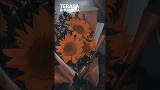 Download Mp3 Casablanca (denyut jantungku berdebar terasa indahnya) - Nuha Bahrin & Naufal Azrin Gudang lagu Download Mp3 Casablanca (denyut jantungku berdebar terasa indahnya) - Nuha Bahrin & Naufal Azrin