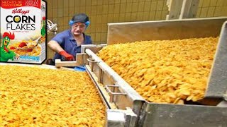 Mass Production of CORN FLAKES🥣| How Corn Flakes Are made In Factory