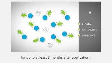 Advion Training Video for Pest Controllers - Module 3 Palitability