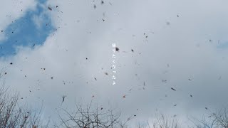 上白石萌音 - 帰りたくなったよ (short ver) | いきものがかり meets