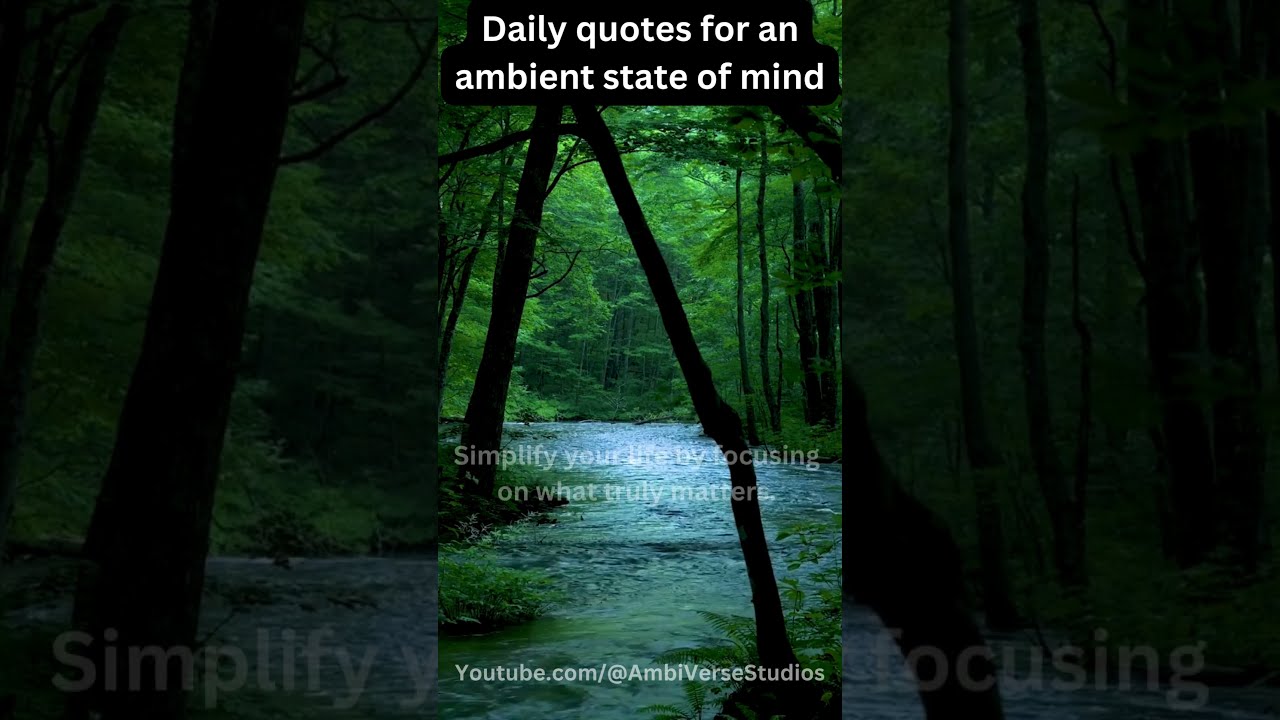 Daily Quotes For An Ambient Mindset 13