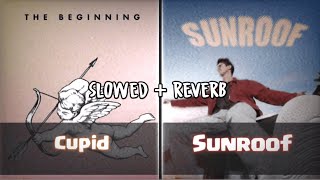 Cupid ✘ Sunroof (slowed + reverb)