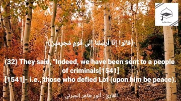 تلاوة هادئة من سورة الذاريات | بصوت القارئ أنور طاهر الجبرتي.