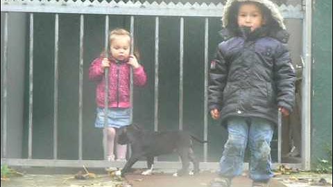 fajah gino djah djah zoe 025