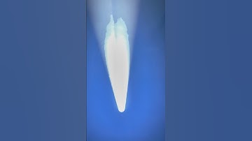 BSM Panther Long Range Sharpy Light II बीएसएम पैंथर लॉन्ग रेंज शार्पी लाइट