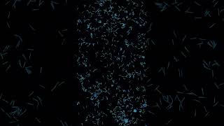 Animation Visualizer #1 #visualizer #animation