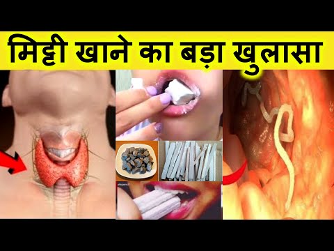 वीडियो: क्या मिट्टी के डब्बे इंसानों को डंक मारेंगे?