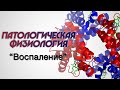 Пат. физ. №3 "Воспаление" 12.10.2020