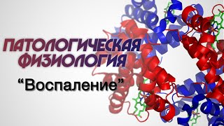 Патологическая физиология №3 