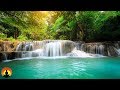 Sleeping Music, Deep Sleep Music, Insomnia, Sleep Therapy, Meditation, Study, Zen, Spa, Sleep, ☯3257