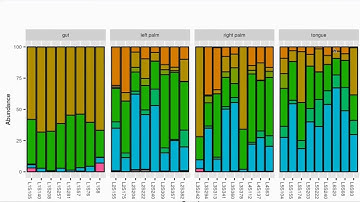 Introducing MicrobiomePhylo