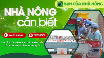 Lưu Ý Quan Trọng Khi Xuất Khẩu Trái Cây Sang Thị Trường Trung Quốc