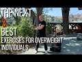 The Next 3 best exercises for overweight individuals.  a follow up video