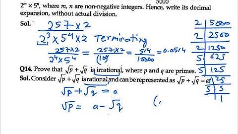 Ex 1.3 Q13,14 NCERT Exemplar Class 10