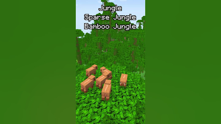 PIG Variants Snapshot 25w02a #minecraft #shorts #minecraftsnapshot #minecraftupdate #gaming