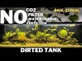 Aquascape tutorial how to make a natural planted dirted tank  low tech tank  ecosystem aquarium