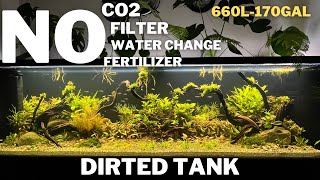 Aquascape Tutorial: How To Make A Natural Planted Dirted Tank | Low Tech Tank | Ecosystem Aquarium