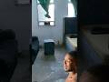 Unexpected #funnyvideo