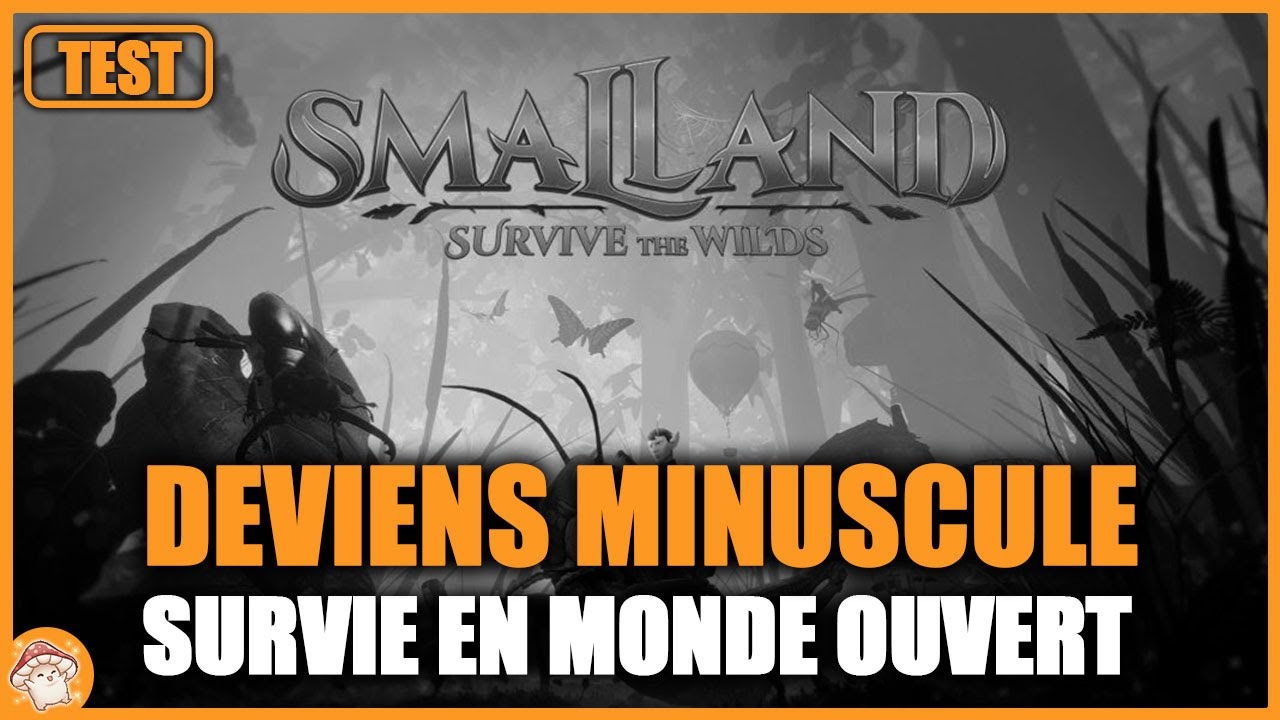 Test du jeu Smalland : jeu de survie en monde ouvert | Gameplay & avis | Merge studio