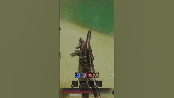 Why are Megalania so skiddish?