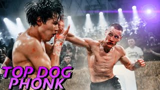 Top Dog Phonk | Подборка музыки Топ Дог | 30 минут Фонка