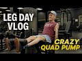 Solo Legs Crazy Quad Pump 07/17/2025 #gym #gymworkout #vlog #legday #bodybuilding