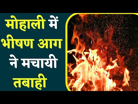 Punjab Factory Fire Video: मोहाली के केमिकल फैक्ट्री में लगी भीषण आग, धमाकों से बढ़ी दहशत
