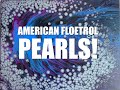 Silver Pearl Pour with American Floetrol including recipe/ratios -   Acrylic Pouring (39)