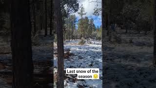 #arizona #snow #heber #weather #snowstorm
